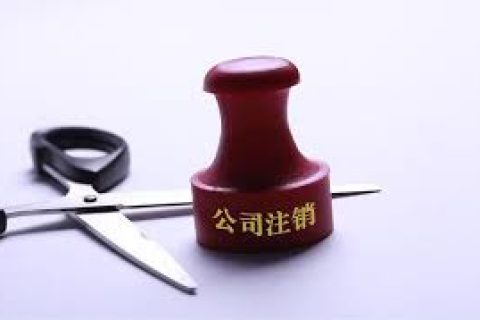 拉薩注銷一個公司，需要去幾個部門？整體時間需要多久？大概流程是怎樣的？