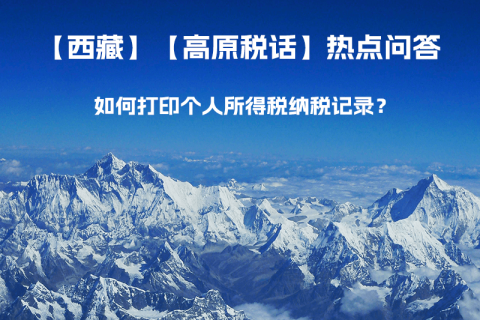 如何打印個人所得稅納稅記錄？